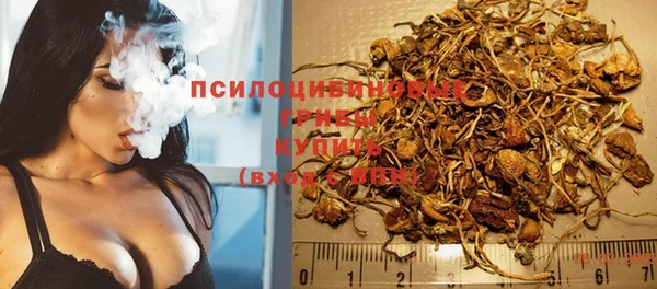 ПСИЛОЦИБИНОВЫЕ ГРИБЫ Балахна