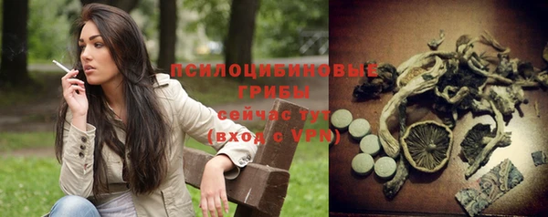 ПСИЛОЦИБИНОВЫЕ ГРИБЫ Балахна