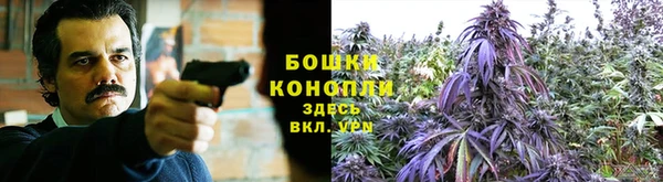 амф Баксан