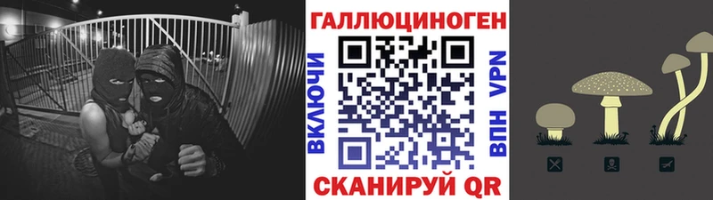 купить Злынка Псилоцибиновые грибы MAGIC MUSHROOMS